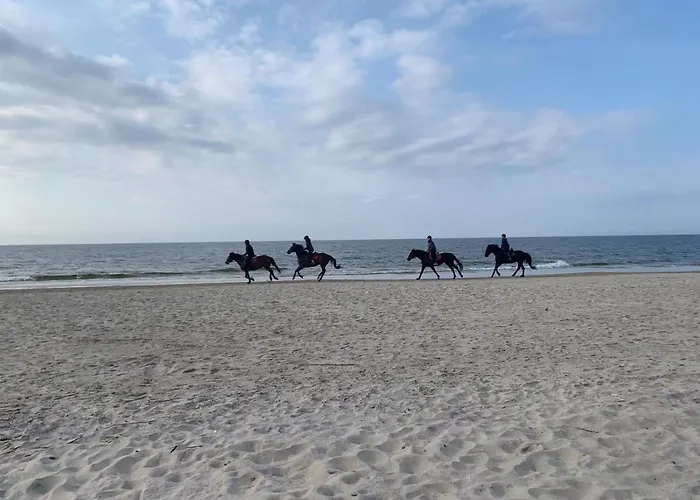 Boho House Rogowo (Gryfice)